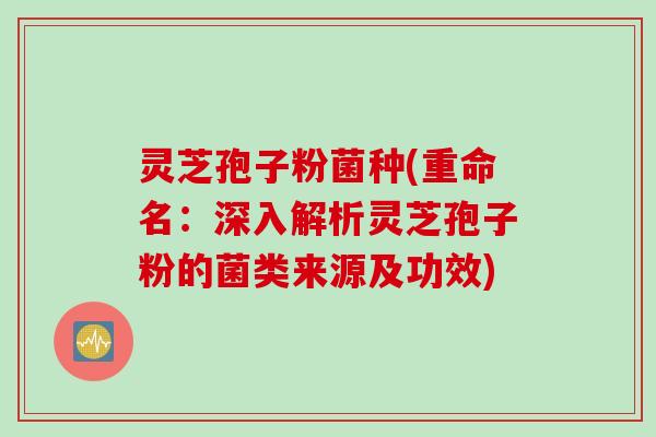 灵芝孢子粉菌种(重命名：深入解析灵芝孢子粉的菌类来源及功效)