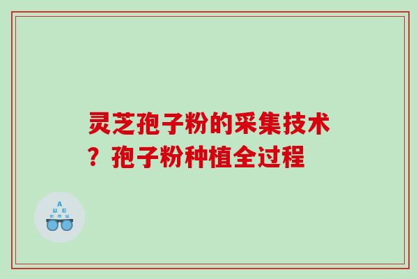 灵芝孢子粉的采集技术？孢子粉种植全过程