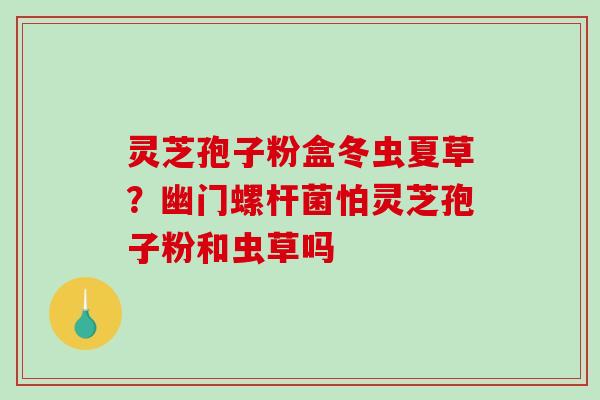 灵芝孢子粉盒冬虫夏草？幽门螺杆菌怕灵芝孢子粉和虫草吗