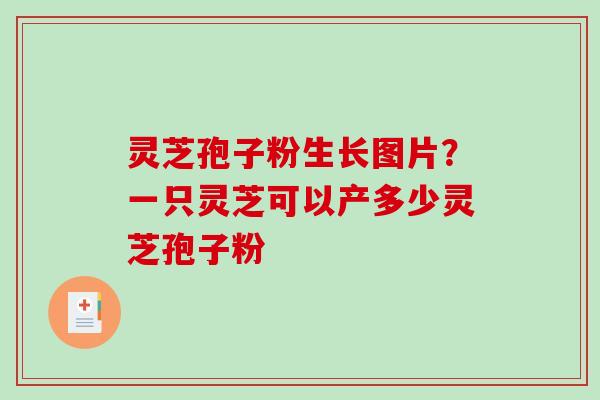 灵芝孢子粉生长图片？一只灵芝可以产多少灵芝孢子粉