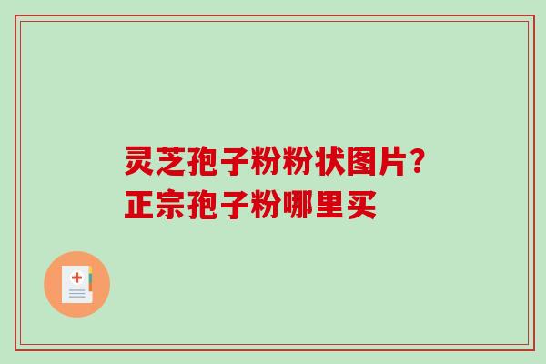 灵芝孢子粉粉状图片？正宗孢子粉哪里买