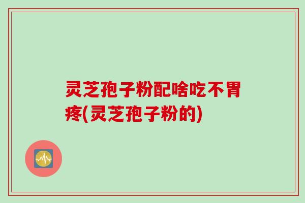 灵芝孢子粉配啥吃不胃疼(灵芝孢子粉的)