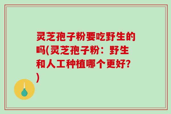 灵芝孢子粉要吃野生的吗(灵芝孢子粉:野生和人工种植哪个更好?) 灵芝孢子粉要吃野生的吗(灵芝孢子粉:野生和人工种植哪个更好?)