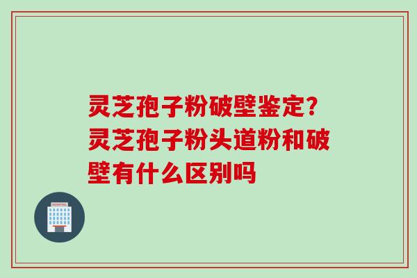灵芝孢子粉破壁鉴定？灵芝孢子粉头道粉和破壁有什么区别吗