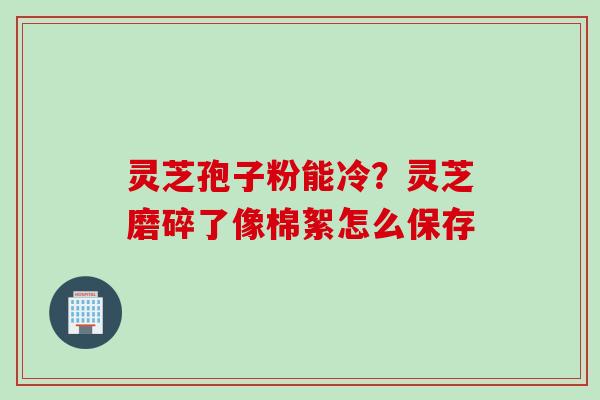 灵芝孢子粉能冷？灵芝磨碎了像棉絮怎么保存