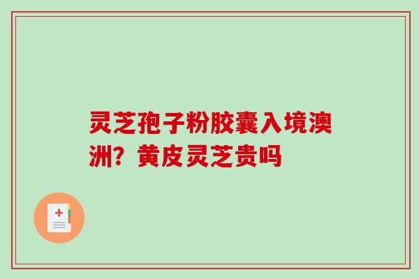 灵芝孢子粉胶囊入境澳洲？黄皮灵芝贵吗