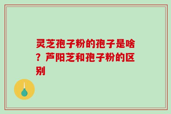 灵芝孢子粉的孢子是啥?芦阳芝和孢子粉的区别 灵芝孢子粉的孢子是啥?芦阳芝和孢子粉的区别