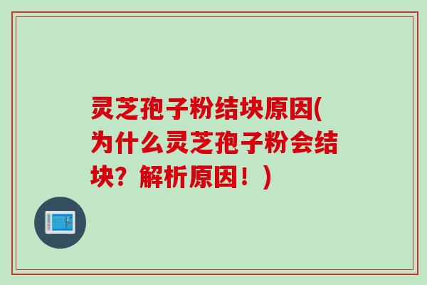 灵芝孢子粉结块原因(为什么灵芝孢子粉会结块？解析原因！)