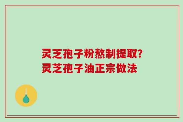 灵芝孢子粉熬制提取？灵芝孢子油正宗做法