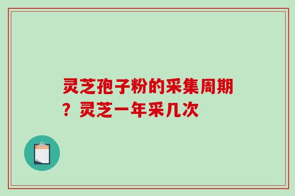 灵芝孢子粉的采集周期？灵芝一年采几次
