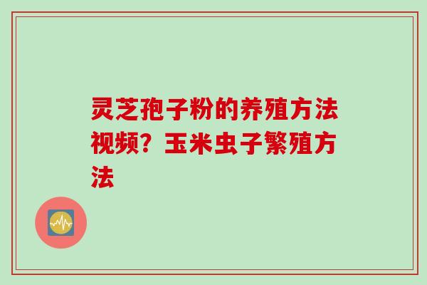 灵芝孢子粉的养殖方法视频？玉米虫子繁殖方法