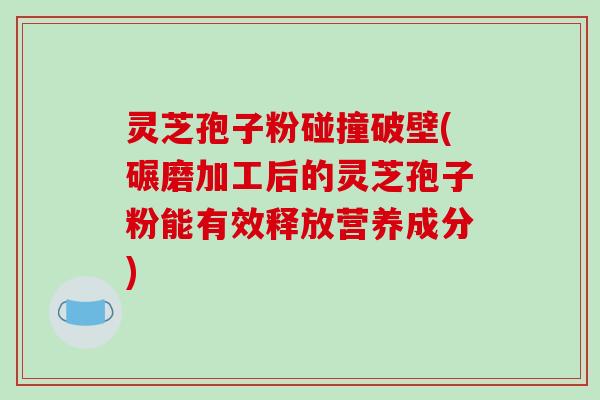 灵芝孢子粉碰撞破壁(碾磨加工后的灵芝孢子粉能有效释放营养成分)