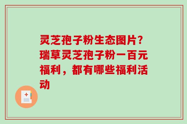 灵芝孢子粉生态图片？瑞草灵芝孢子粉一百元福利，都有哪些福利活动