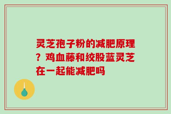 灵芝孢子粉的减肥原理？鸡血藤和绞股蓝灵芝在一起能减肥吗