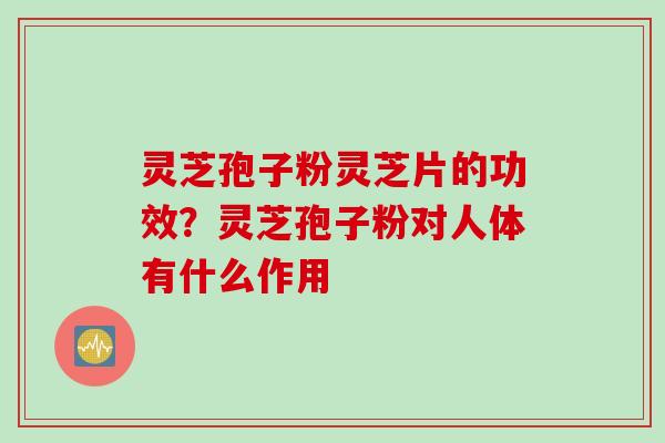 灵芝孢子粉灵芝片的功效？灵芝孢子粉对人体有什么作用
