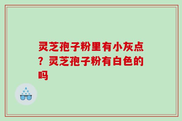 灵芝孢子粉里有小灰点？灵芝孢子粉有白色的吗
