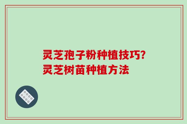 灵芝孢子粉种植技巧？灵芝树苗种植方法