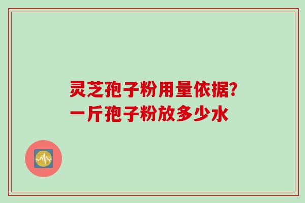灵芝孢子粉用量依据？一斤孢子粉放多少水