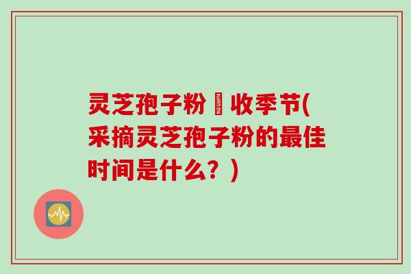 灵芝孢子粉釆收季节(采摘灵芝孢子粉的最佳时间是什么？)