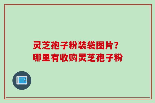 灵芝孢子粉装袋图片？哪里有收购灵芝孢子粉
