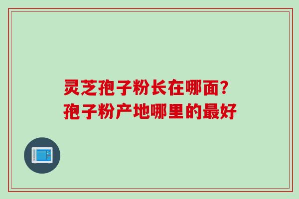 灵芝孢子粉长在哪面？孢子粉产地哪里的最好
