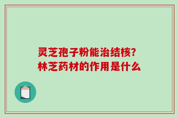 灵芝孢子粉能治结核？林芝药材的作用是什么