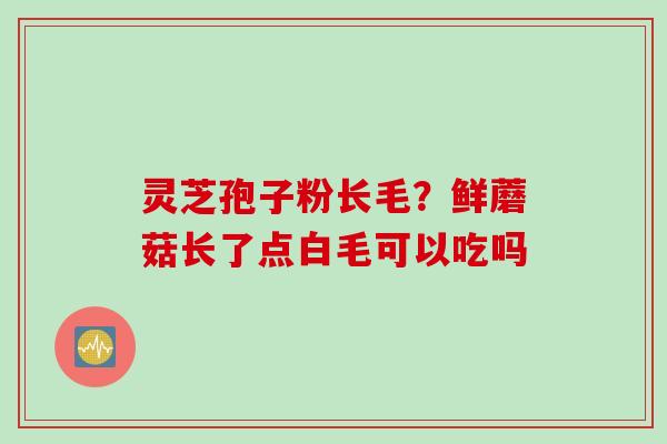 灵芝孢子粉长毛？鲜蘑菇长了点白毛可以吃吗