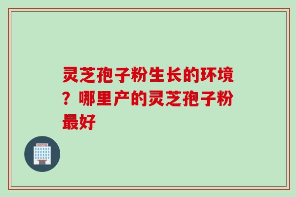 灵芝孢子粉生长的环境？哪里产的灵芝孢子粉最好