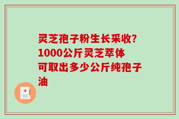 灵芝孢子粉生长采收？1000公斤灵芝萃体可取出多少公斤纯孢子油