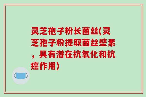 灵芝孢子粉长菌丝(灵芝孢子粉提取菌丝壁素，具有潜在抗氧化和抗癌作用)