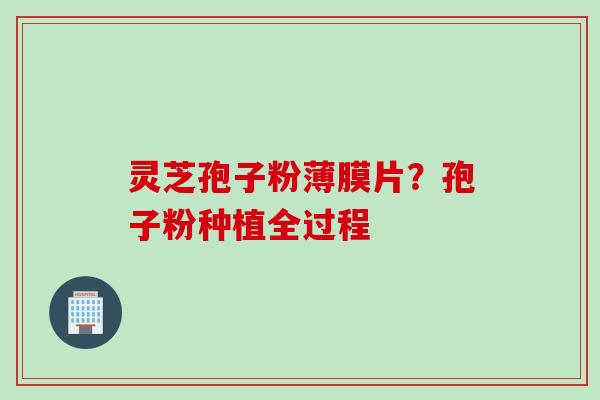 灵芝孢子粉薄膜片？孢子粉种植全过程