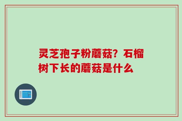 灵芝孢子粉蘑菇？石榴树下长的蘑菇是什么