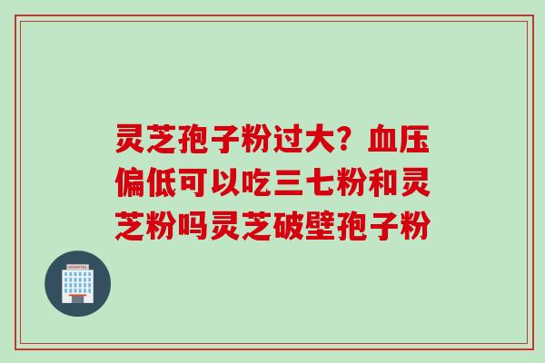 灵芝孢子粉过大？血压偏低可以吃三七粉和灵芝粉吗灵芝破壁孢子粉