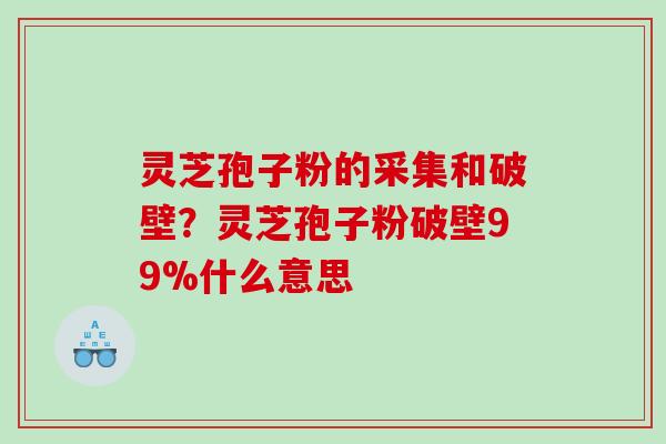 灵芝孢子粉的采集和破壁？灵芝孢子粉破壁99%什么意思