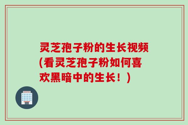 灵芝孢子粉的生长视频(看灵芝孢子粉如何喜欢黑暗中的生长！)