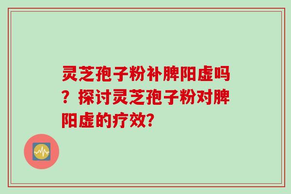 灵芝孢子粉补脾阳虚吗？探讨灵芝孢子粉对脾阳虚的疗效？