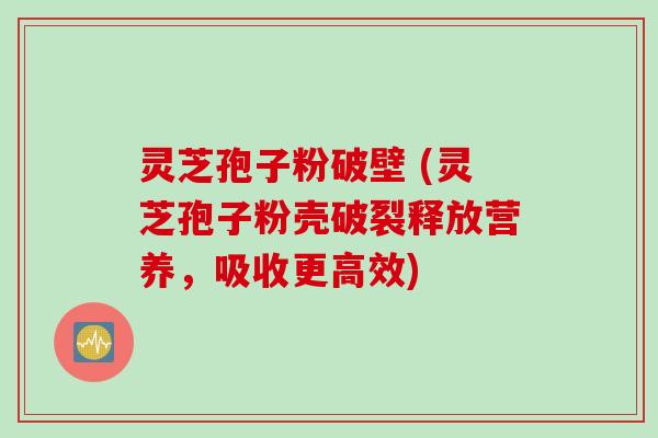 灵芝孢子粉破壁 (灵芝孢子粉壳破裂释放营养，吸收更高效)