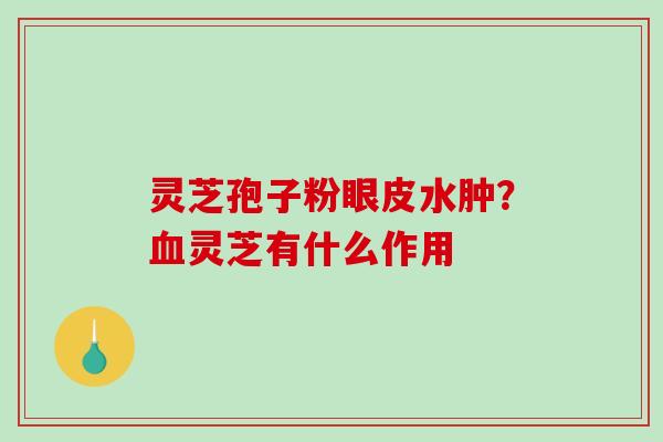 灵芝孢子粉眼皮水肿？血灵芝有什么作用