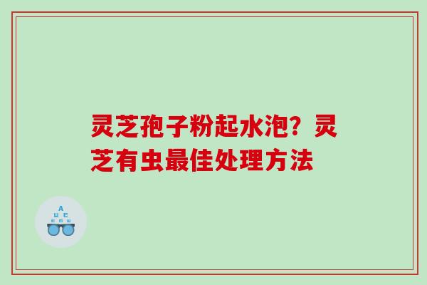 灵芝孢子粉起水泡?灵芝有虫佳处理方法 灵芝孢子粉起水泡?灵芝有虫佳处理方法