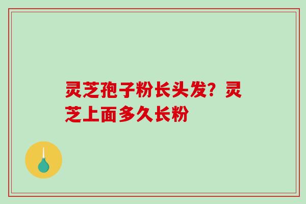 灵芝孢子粉长头发？灵芝上面多久长粉
