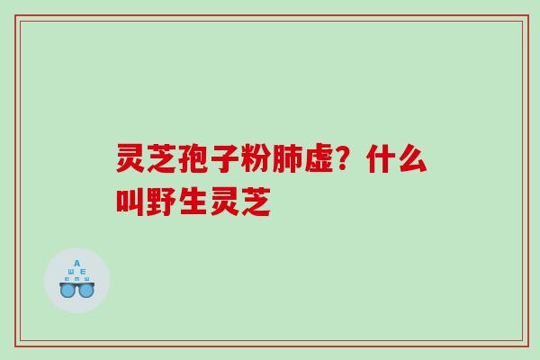 灵芝孢子粉肺虚？什么叫野生灵芝