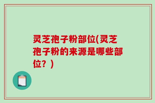 灵芝孢子粉部位(灵芝孢子粉的来源是哪些部位？)