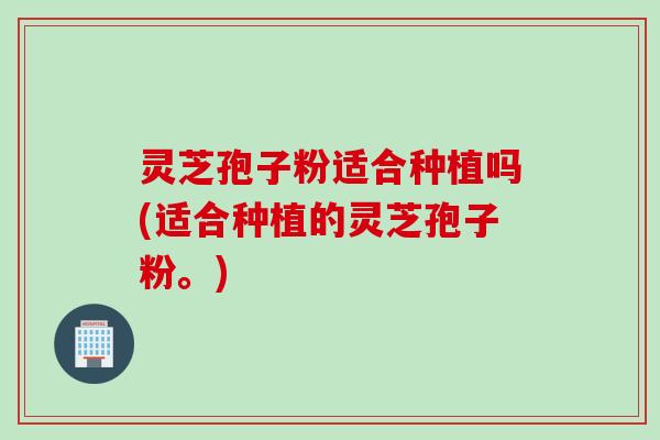 灵芝孢子粉适合种植吗(适合种植的灵芝孢子粉。)