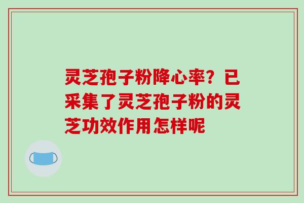 灵芝孢子粉降心率？已采集了灵芝孢子粉的灵芝功效作用怎样呢