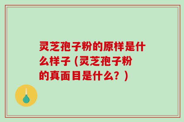 灵芝孢子粉的原样是什么样子 (灵芝孢子粉的真面目是什么？)