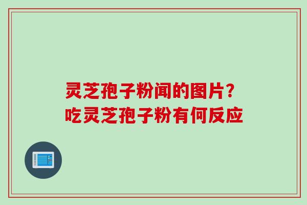 灵芝孢子粉闻的图片？吃灵芝孢子粉有何反应