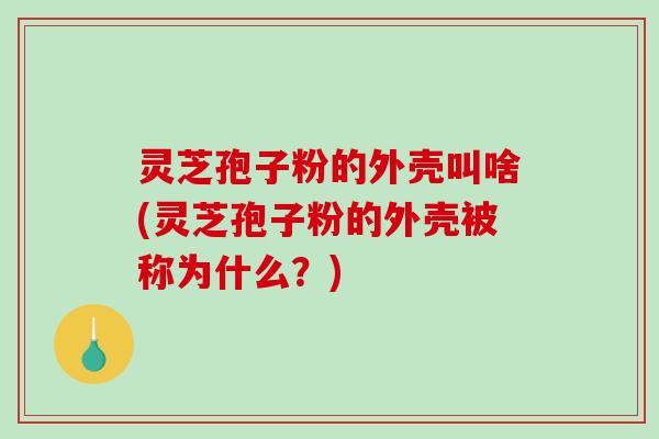 灵芝孢子粉的外壳叫啥(灵芝孢子粉的外壳被称为什么？)