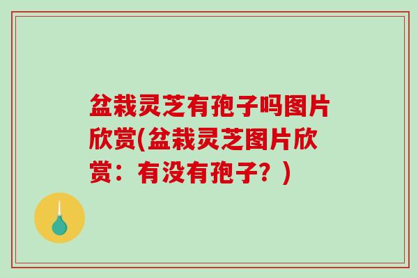 盆栽灵芝有孢子吗图片欣赏(盆栽灵芝图片欣赏：有没有孢子？)