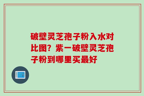 破壁灵芝孢子粉入水对比图？紫一破壁灵芝孢子粉到哪里买最好