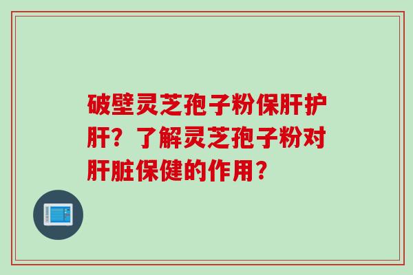 破壁灵芝孢子粉保肝护肝？了解灵芝孢子粉对肝脏保健的作用？